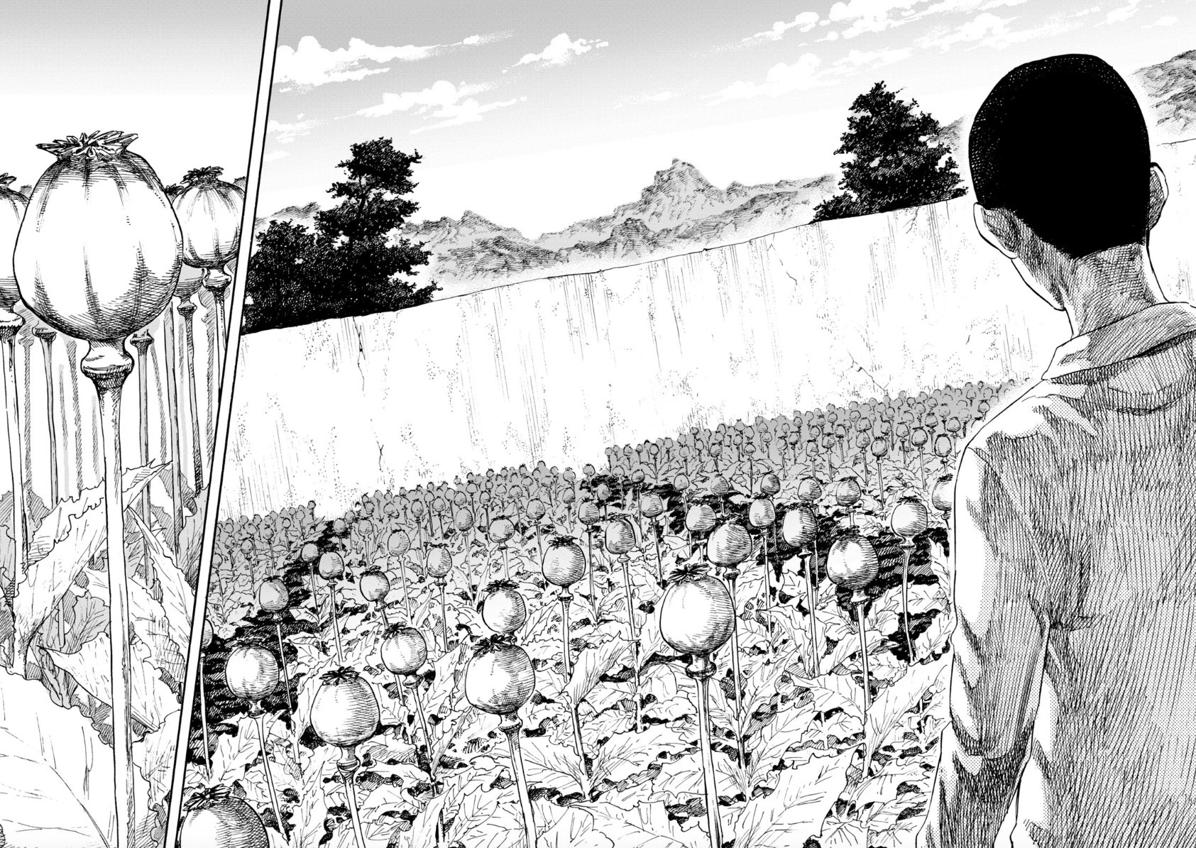 裏社会漫画『満州アヘンスクワッド』の正直レビュー【あらすじ・感想】 | Emo Stone